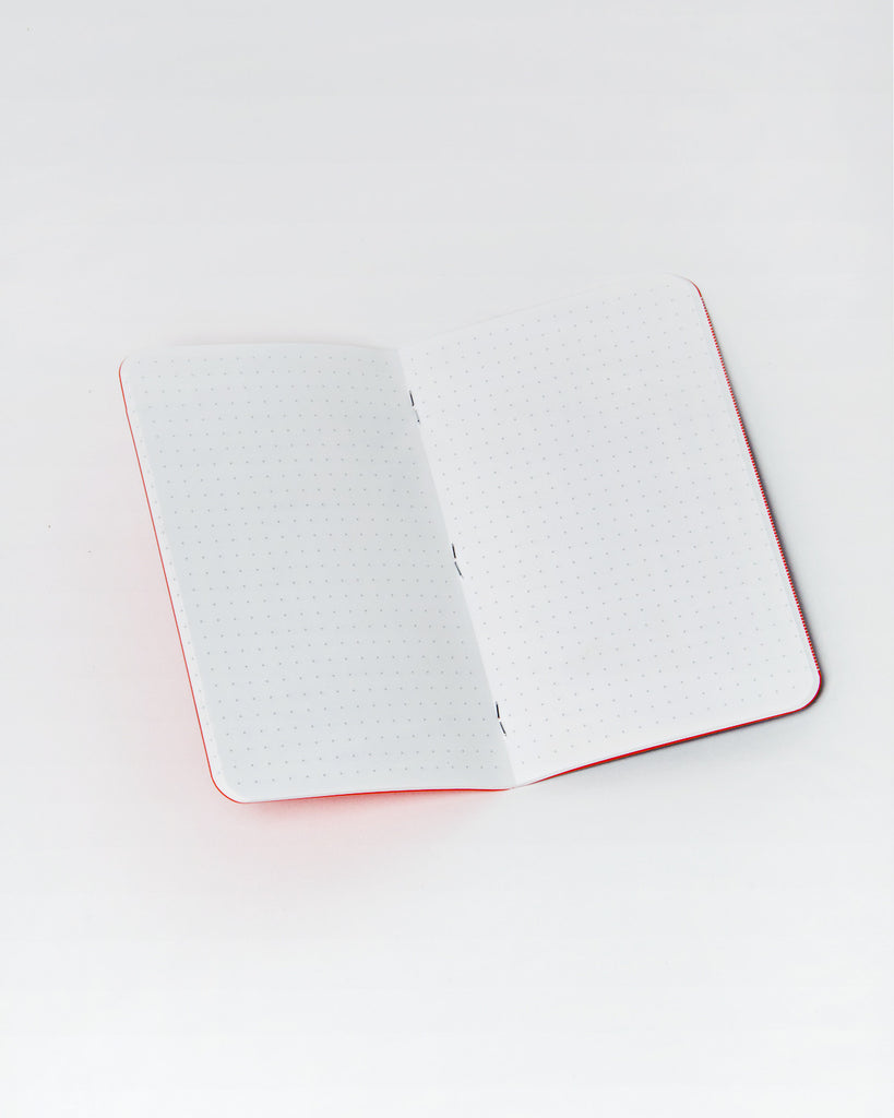 Field Notes Pack of 3 - Expedition Edition