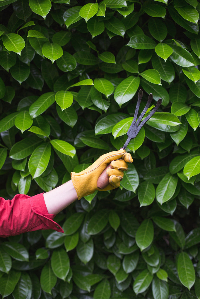 Oregon-Made 3-Tine Cultivator