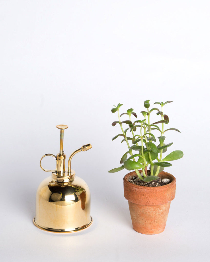 Haws Brass Mr. Mister