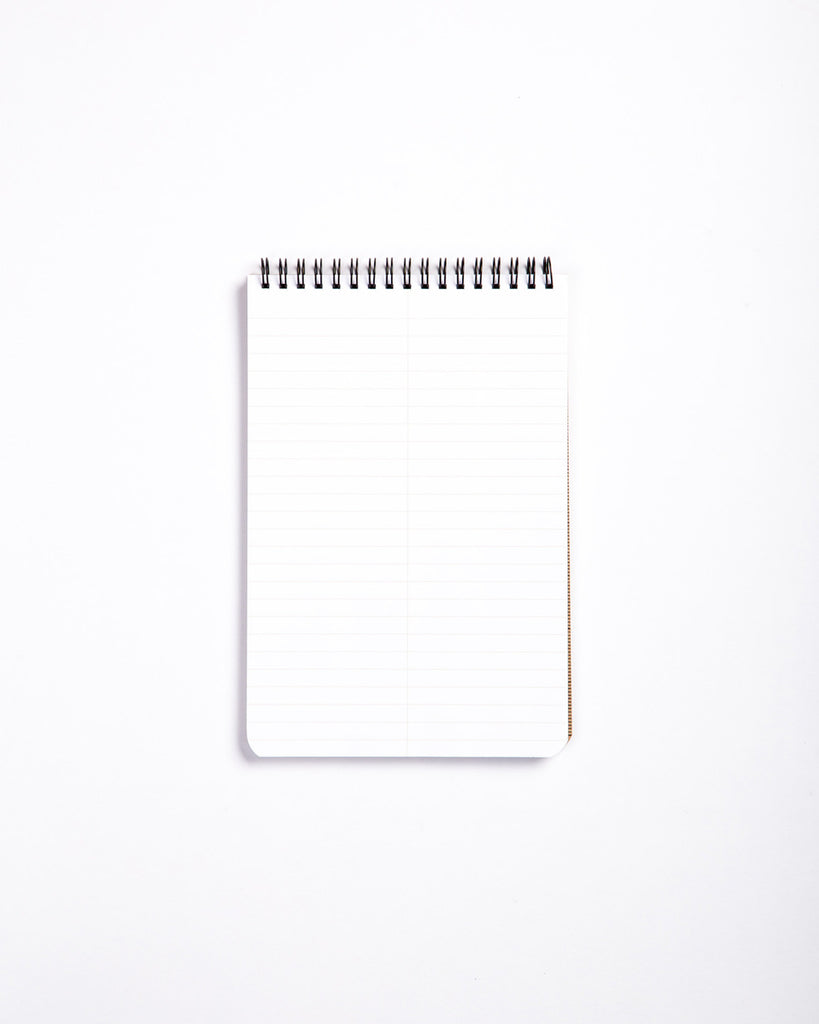 Field Notes 80-Page Steno Book