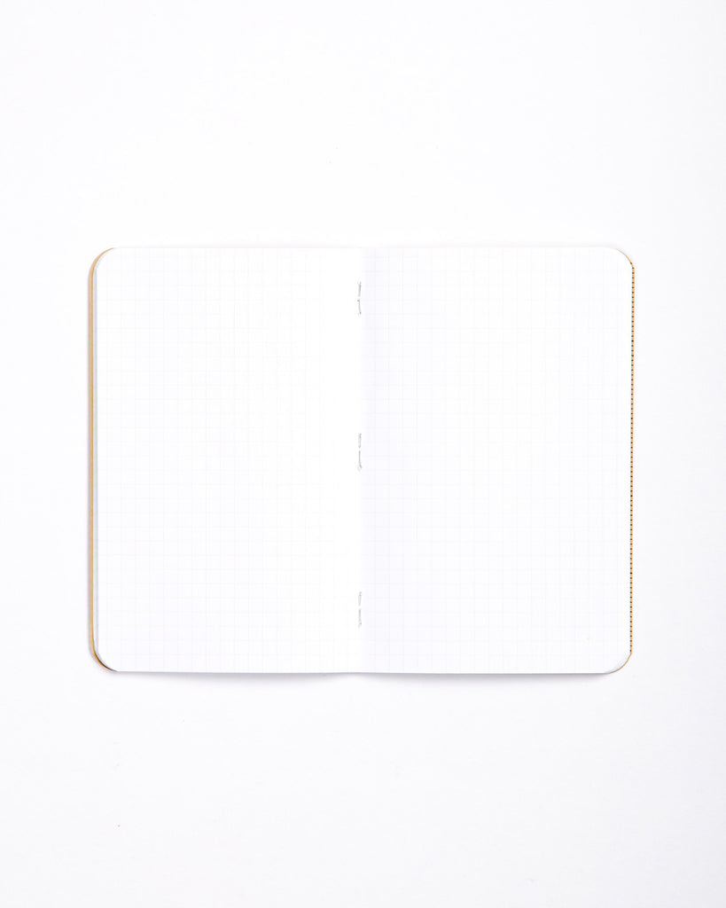 Field Notes Pack of 3 - Graph