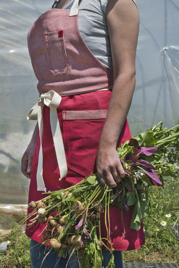 Hedley & Bennett San Marzano Apron